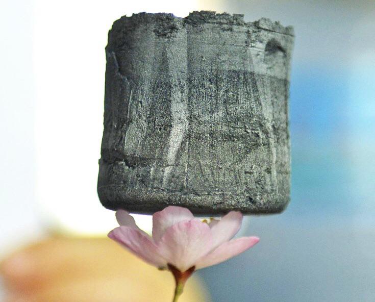 Carbon-Aerogel-Block schwebt federleicht auf einer Blüte – visualisiert das geringe Gewicht und die hohe Porosität von Aerogel.